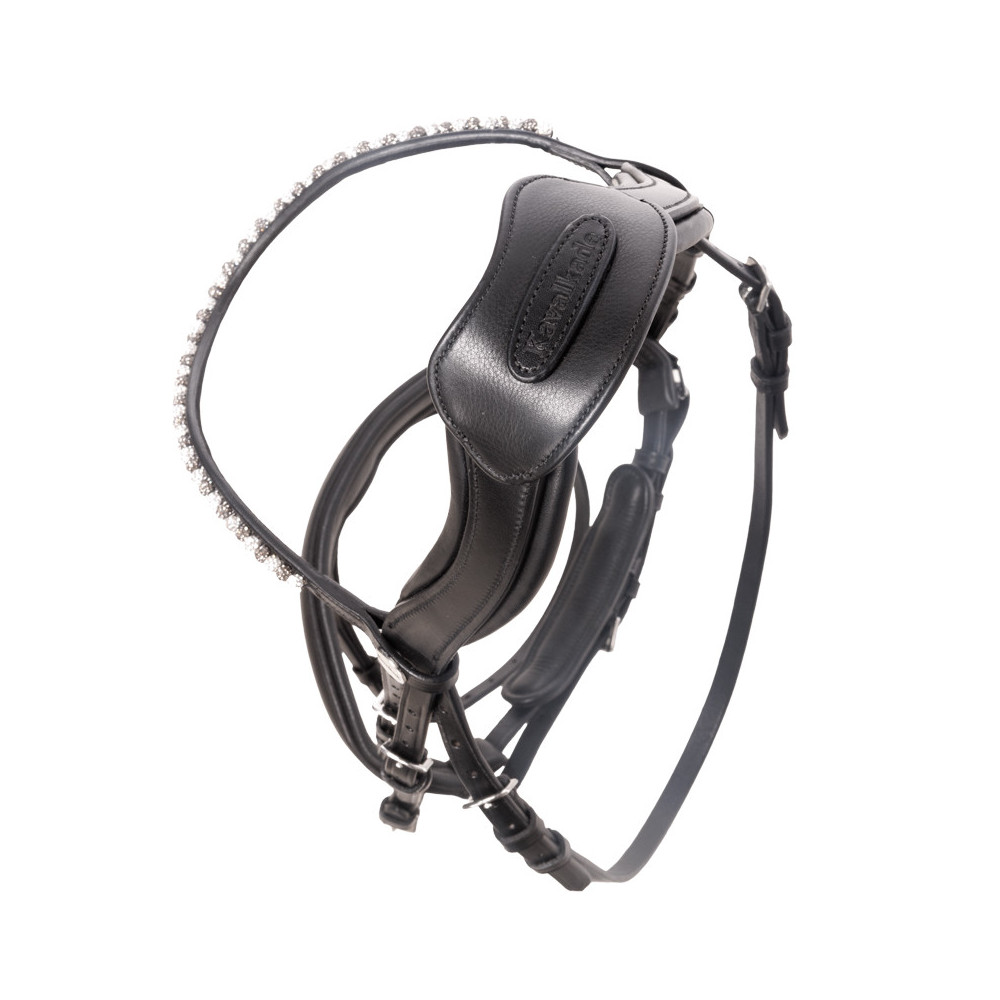 Pasek Potyliczny Cre8 Malou Czarny Kavalkade