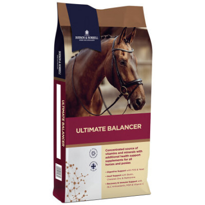 Balancer Ultimate 20kg Dodson&Horrell