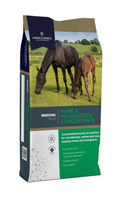 Balancer Mare&Young Concetrant 20kg Dodson&Horrell