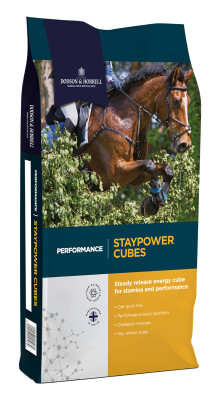 Granulat Staypower Cubes 20kg Dodson&Horrell