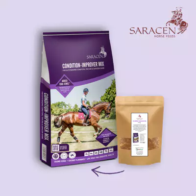 Musli Condition-Improver Mix 1,5kg Saracen