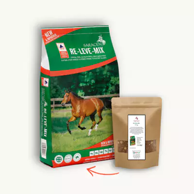 Musli Re-Leve Mix 1,5kg Saracen