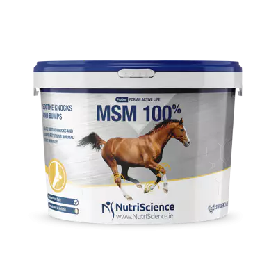 MSM 100% NutriScience