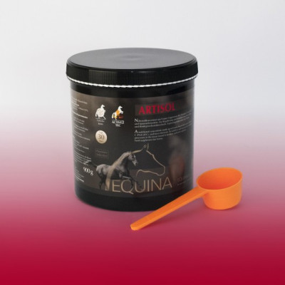 Preparat Na Stawy Artisol Equina