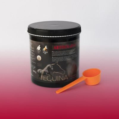Preparat Regenerujący Stawy Artisol Ultra Equina