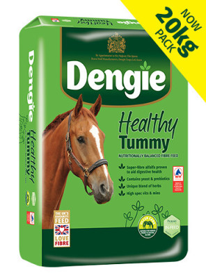 Sieczka Healthy Tummy 20kg Dengie