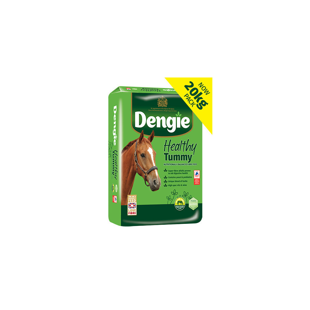 Sieczka Healthy Tummy 20kg Dengie