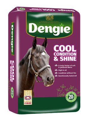 Sieczka Cool Condition&Shine 20kg Dengie