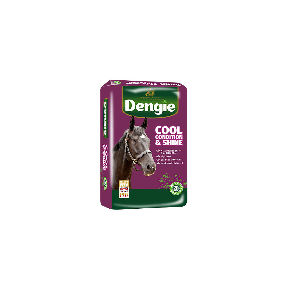 Sieczka Cool Condition&Shine 20kg Dengie
