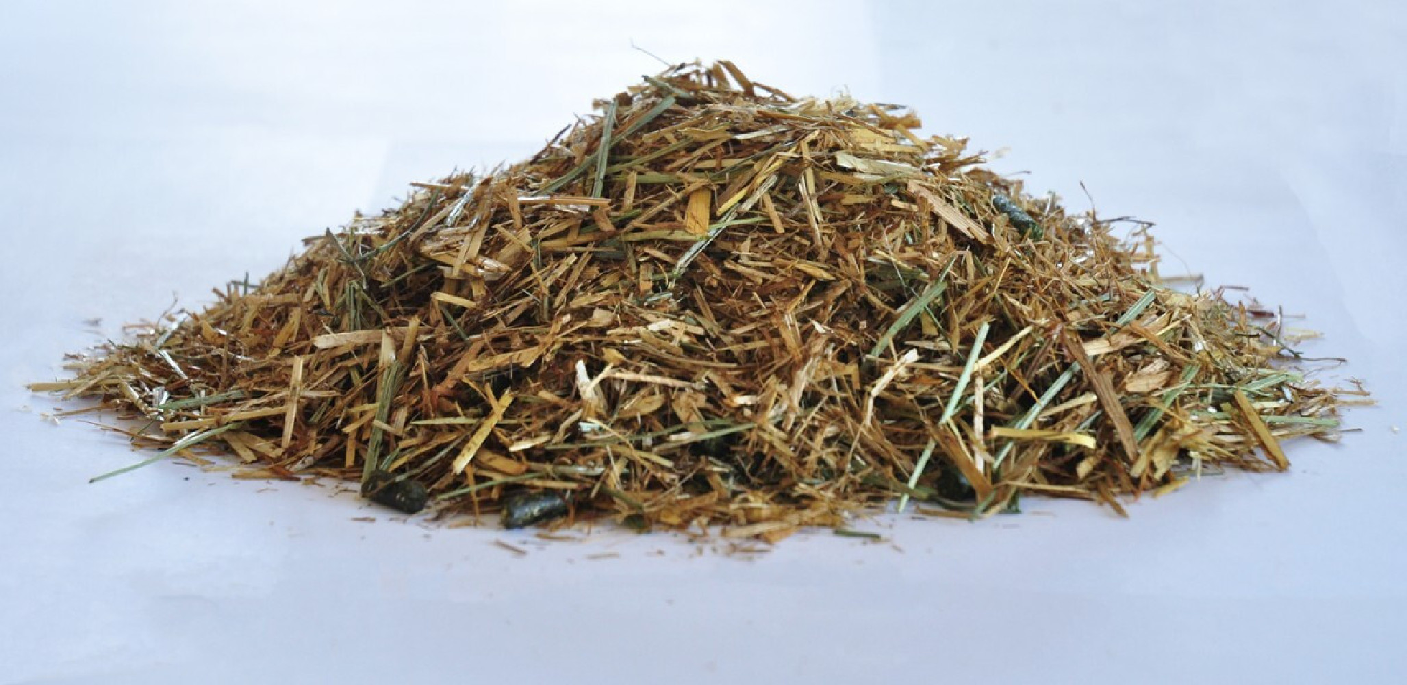 Sieczka Cool Condition&Shine 20kg Dengie