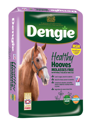 Sieczka Healthy Hooves Molasses Free 20kg Dengie
