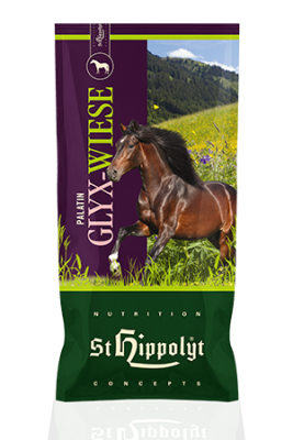 Sieczka W Formie Musli  Palatin Glyx-Wiese Musli 15kg Hippolyt