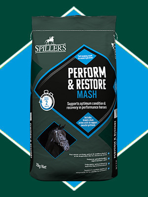 Mesz Perform & Restore Mash 20kg Spillers