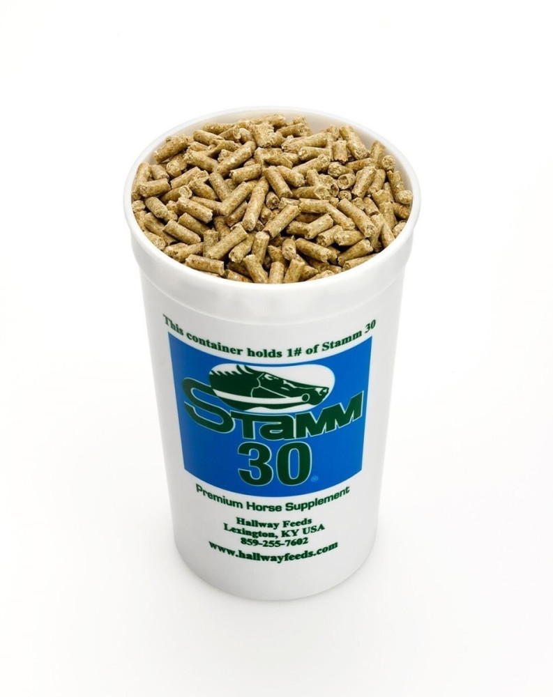 Koncentrat Stamm 30 Concentrate 20kg Saracen