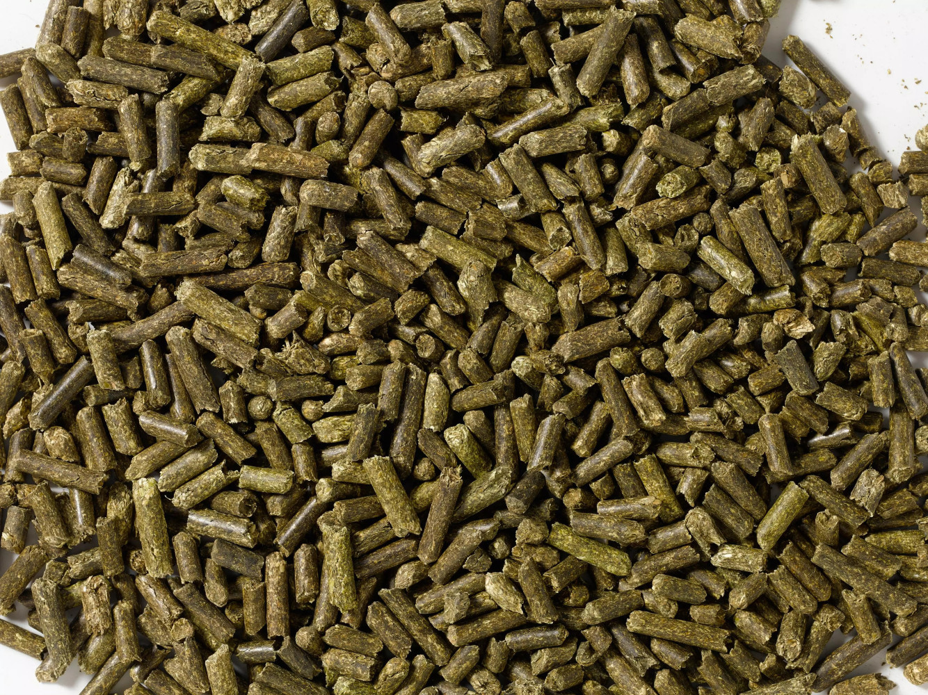 Granulowana Lucerna Alfalfa Pellets 20kg Saracen