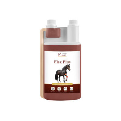 Preparat Na Zwyrodnienie Stawów Flex Plus Over Horse