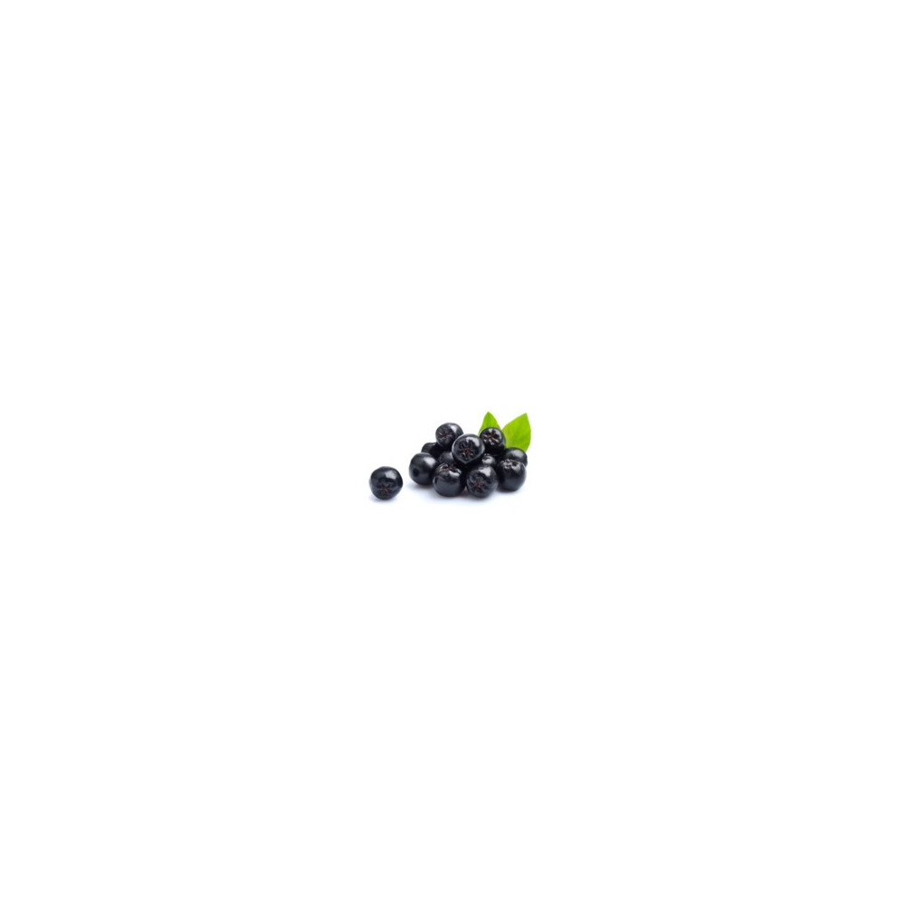 Aronia Equiherbs Aronia Equiherbs