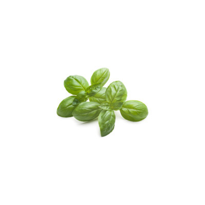 Bazylia Equiherbs
