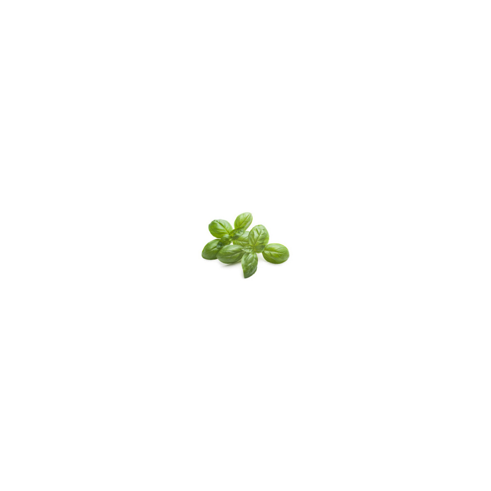 Bazylia Equiherbs Bazylia Equiherbs
