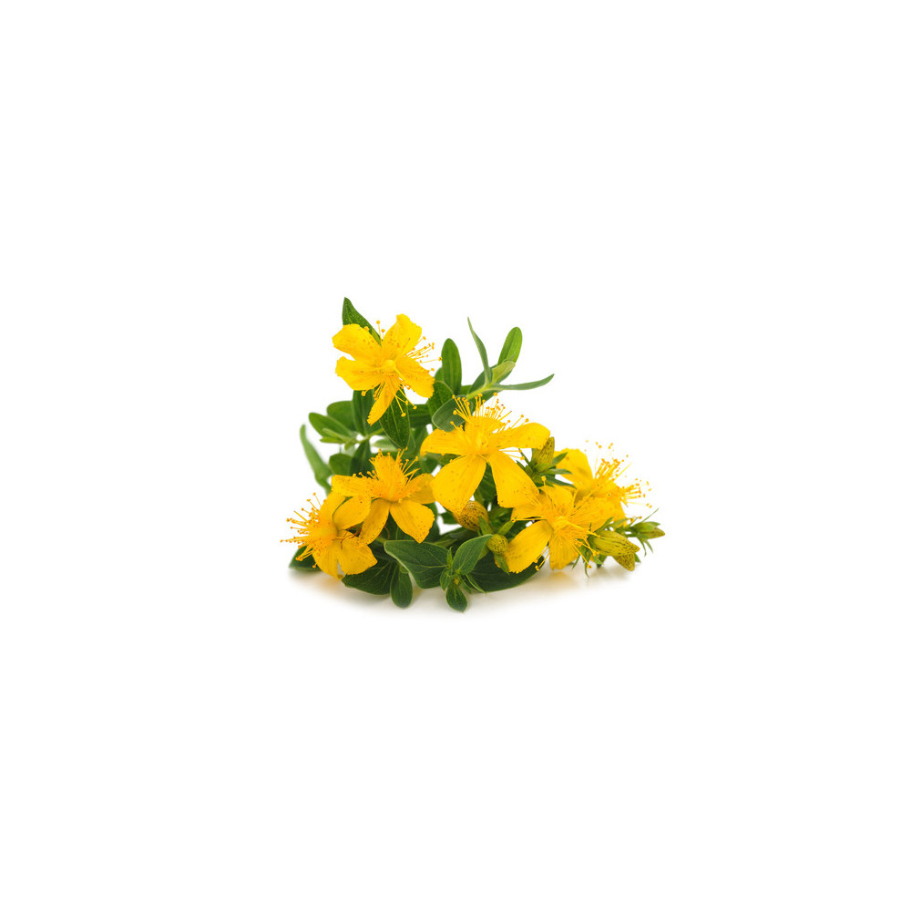 Dziurawiec Equiherbs Dziurawiec Equiherbs