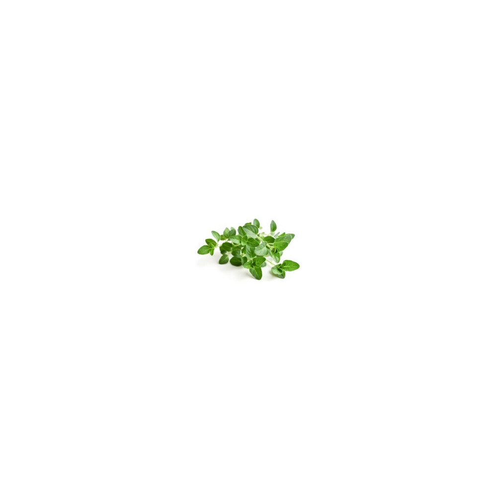 Oregano Equiherbs Oregano Equiherbs