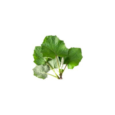 Podbiał Equiherbs