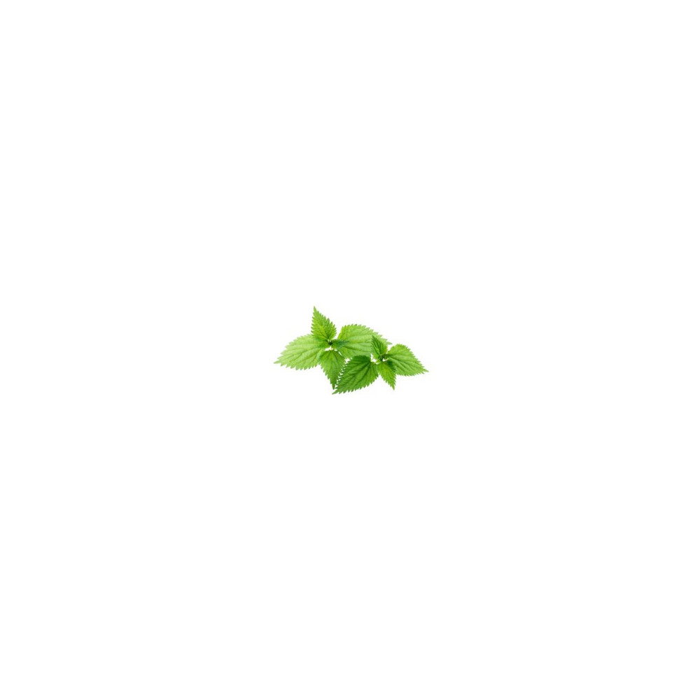 Pokrzywa Zwyczajna Equiherbs Pokrzywa Zwyczajna Equiherbs