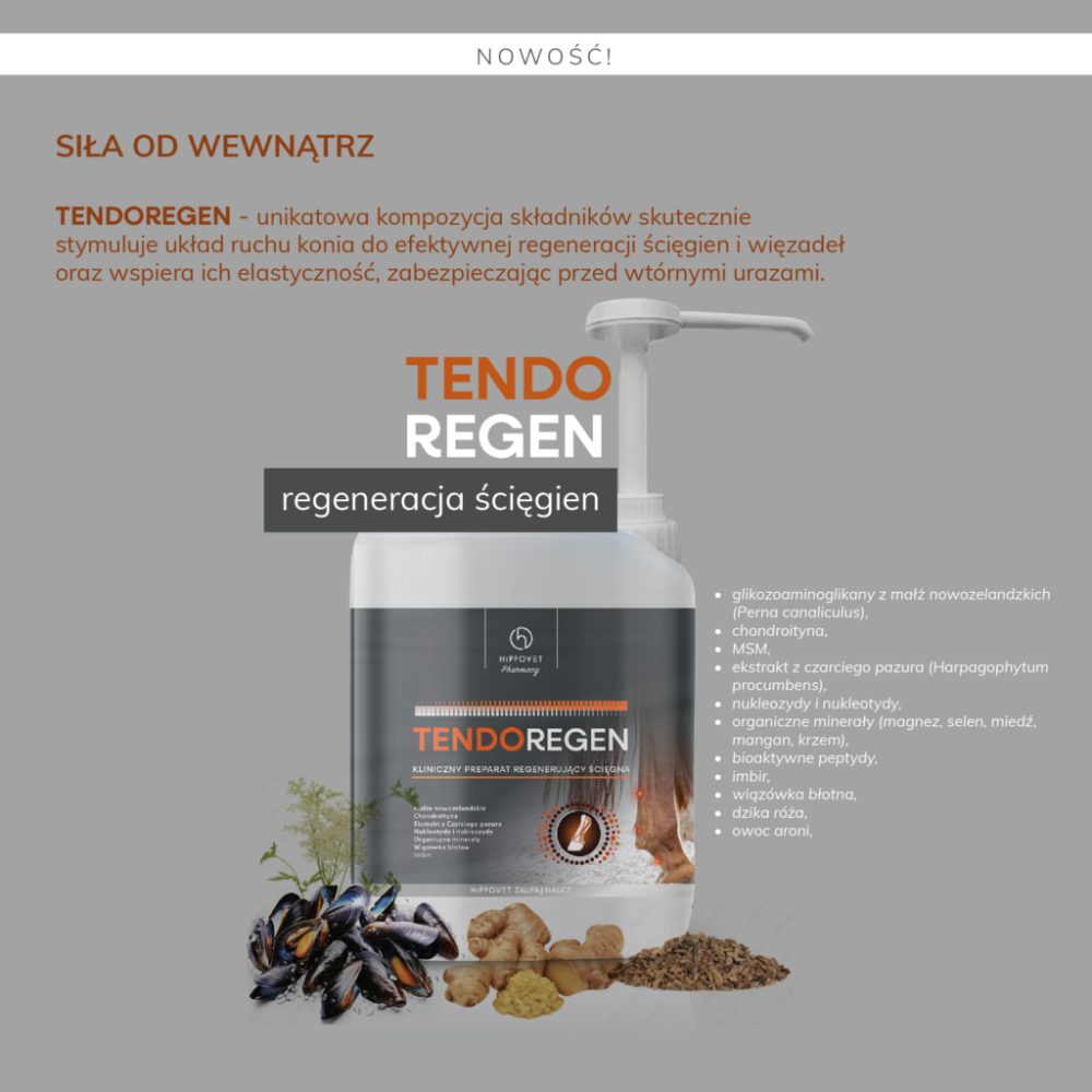 Preparat Wspomagający Regenerację i Wzmocnienie Ścięgien Tendo Regen 2,5L Hippovet