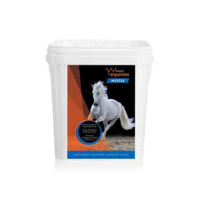 Suplement Wspomagający Mięśnie Muscle 3kg Yarrowia Equinox