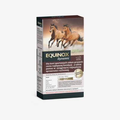 Suplement Wspomagający Kondycję Dynamic Equinox