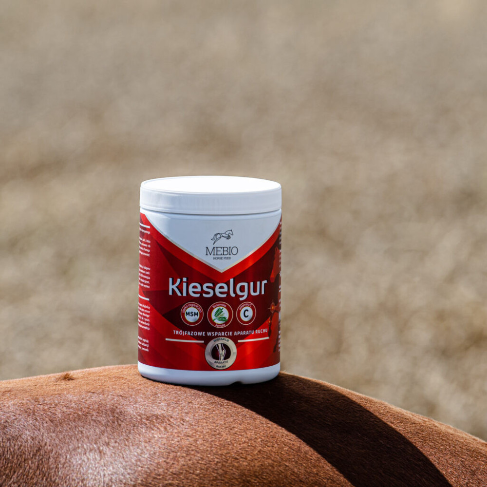 Trójfazowe Wsparcie Aparatu Ruchu Kieselgur Mebio