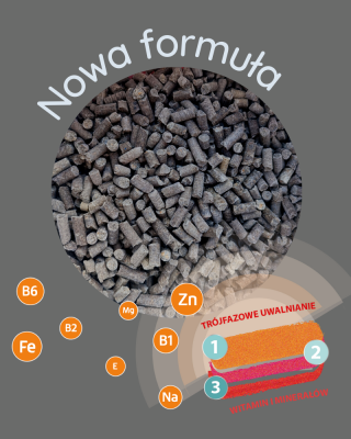 Trójfazowe Wsparcie Aparatu Ruchu Kieselgur 3kg Mebio