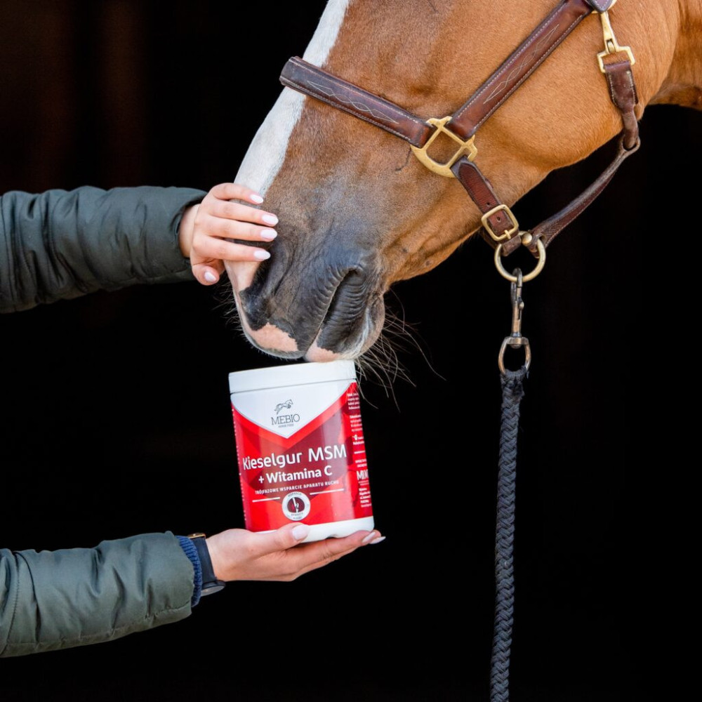 Trójfazowe Wsparcie Aparatu Ruchu Kieselgur Mebio