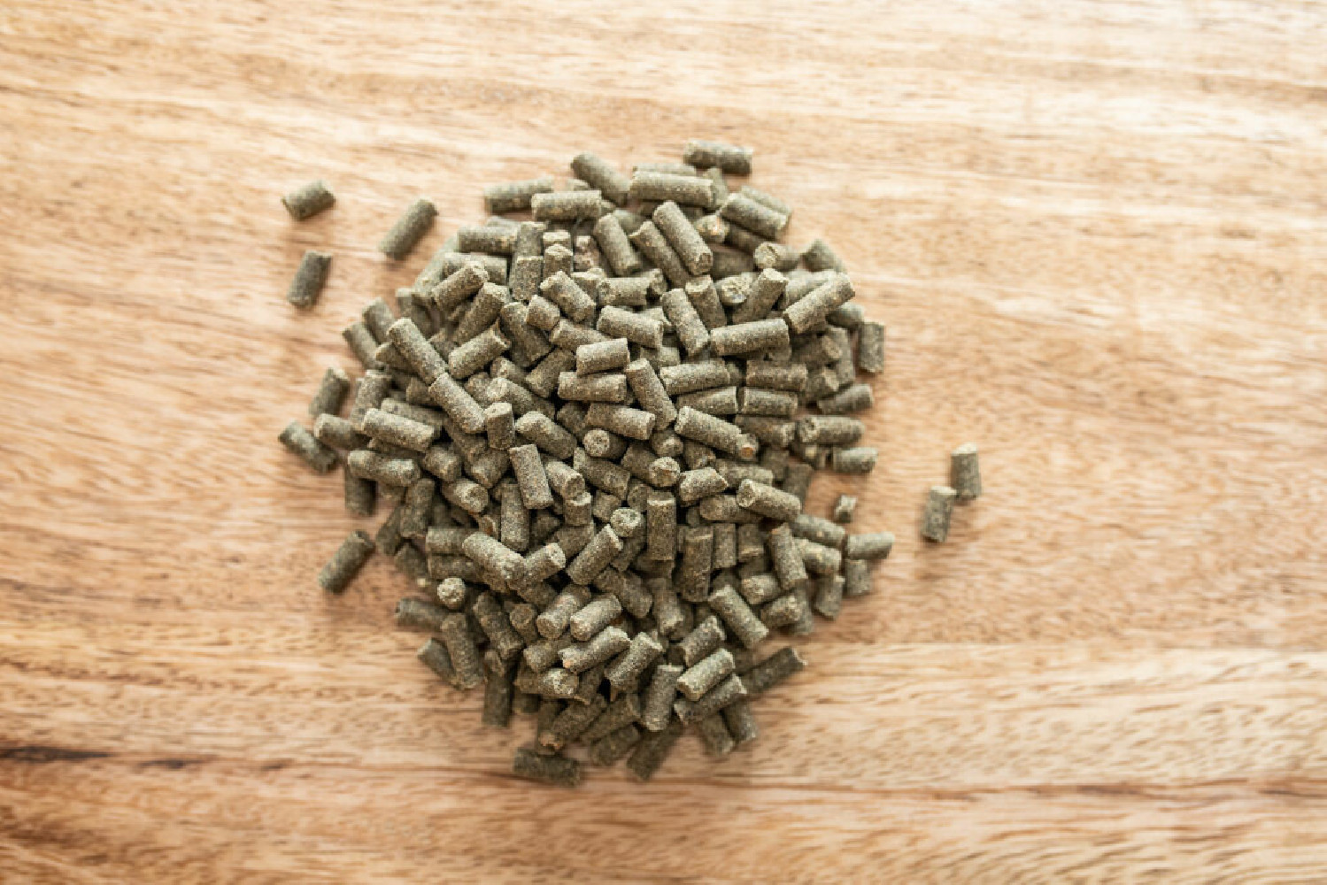 Wsparcie Mięśni Gold Medal 5kg Hippolyt