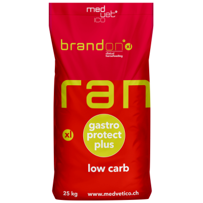 Brandon XL 25 kg Medvetico