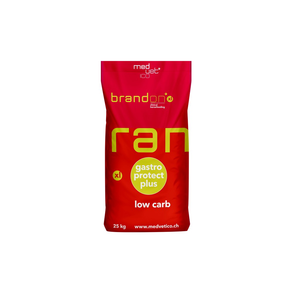 Brandon XL 25 kg Medvetico