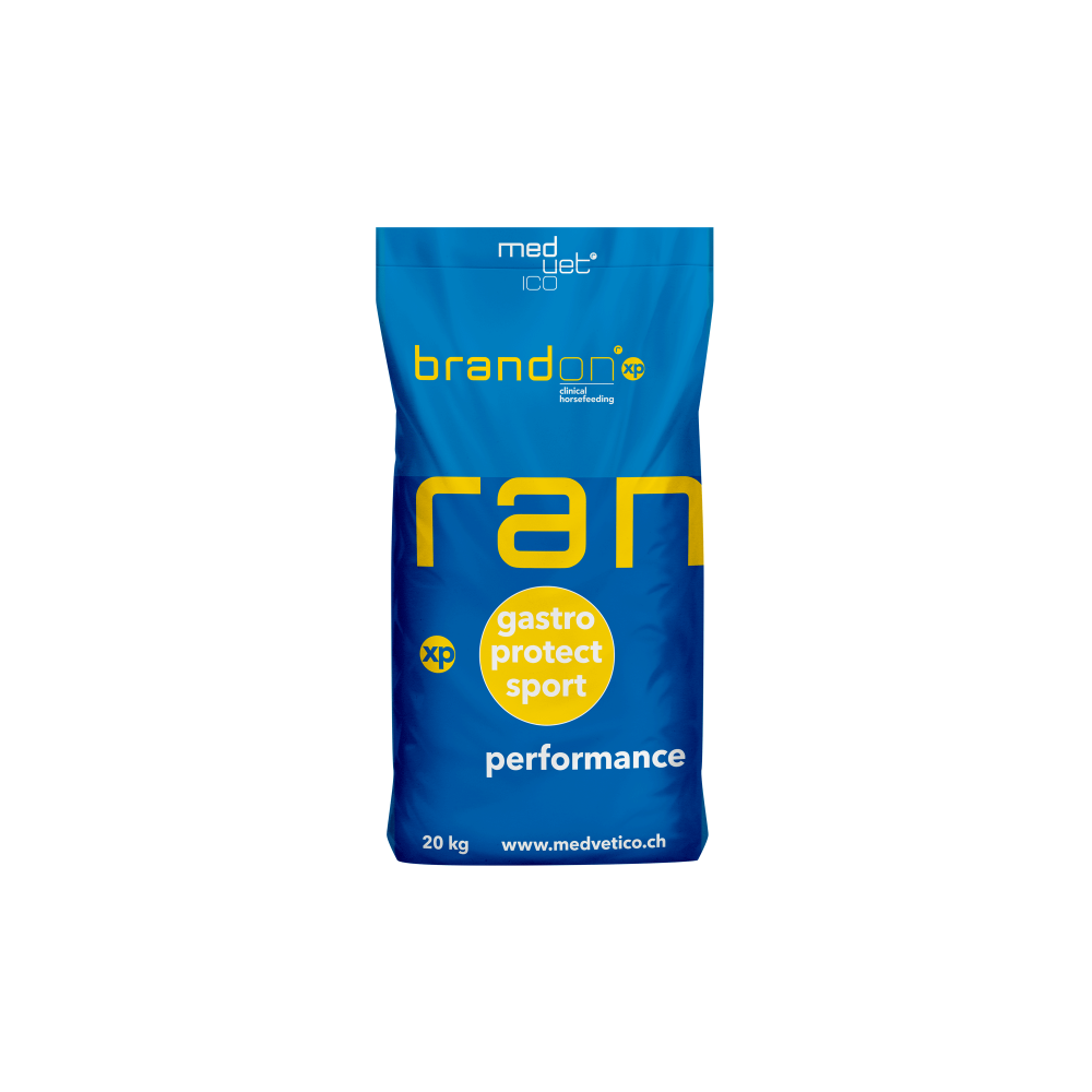 Brandon XP 20kg Medvetico