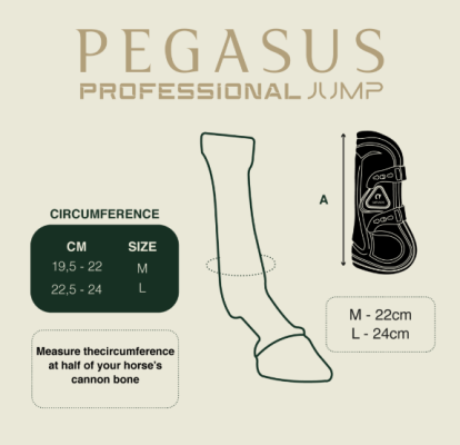 Ochraniacze Skokowe Pegasus Professional Przednie Czarne Gatusos