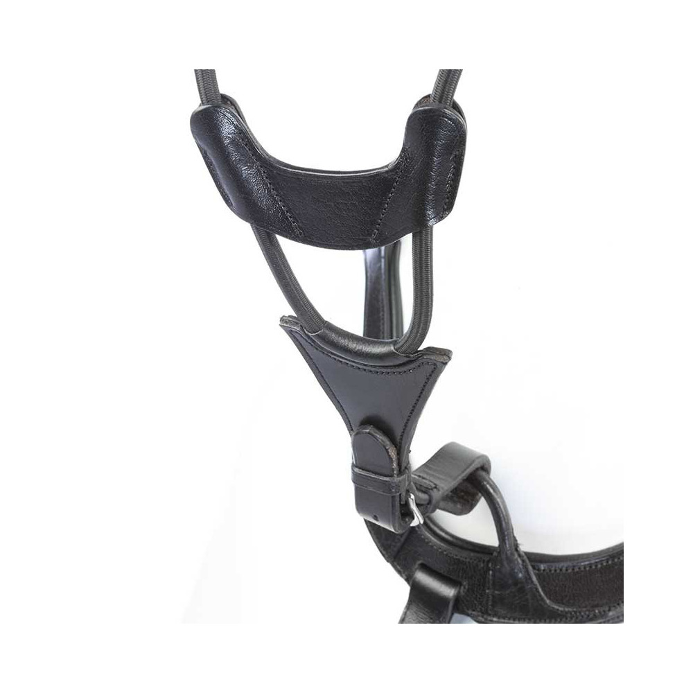 Napierśnik Pięciopunktowy Caya Czarny Kavalkade