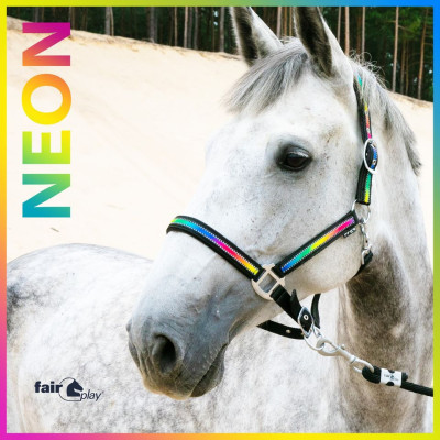 Kantar Neon Wielokolorowy Fair Play