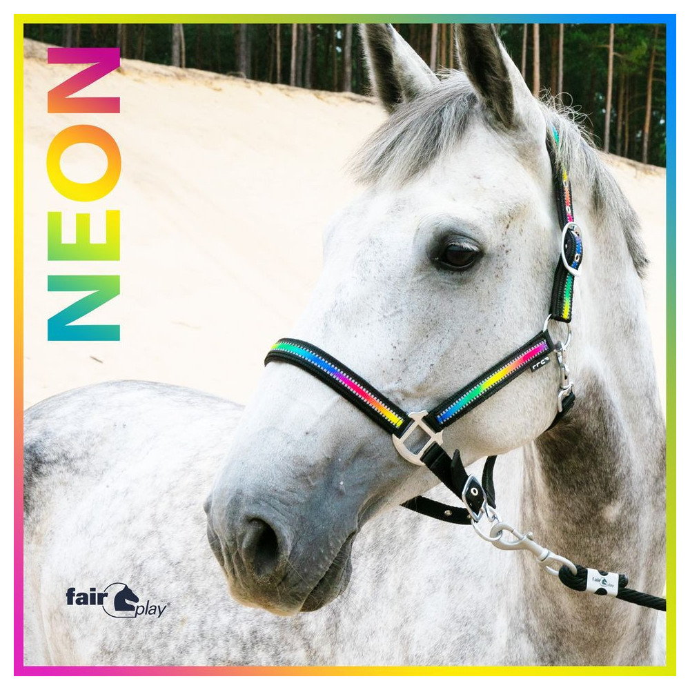 Kantar Neon Wielokolorowy Fair Play Kantar Neon Wielokolorowy Fair Play