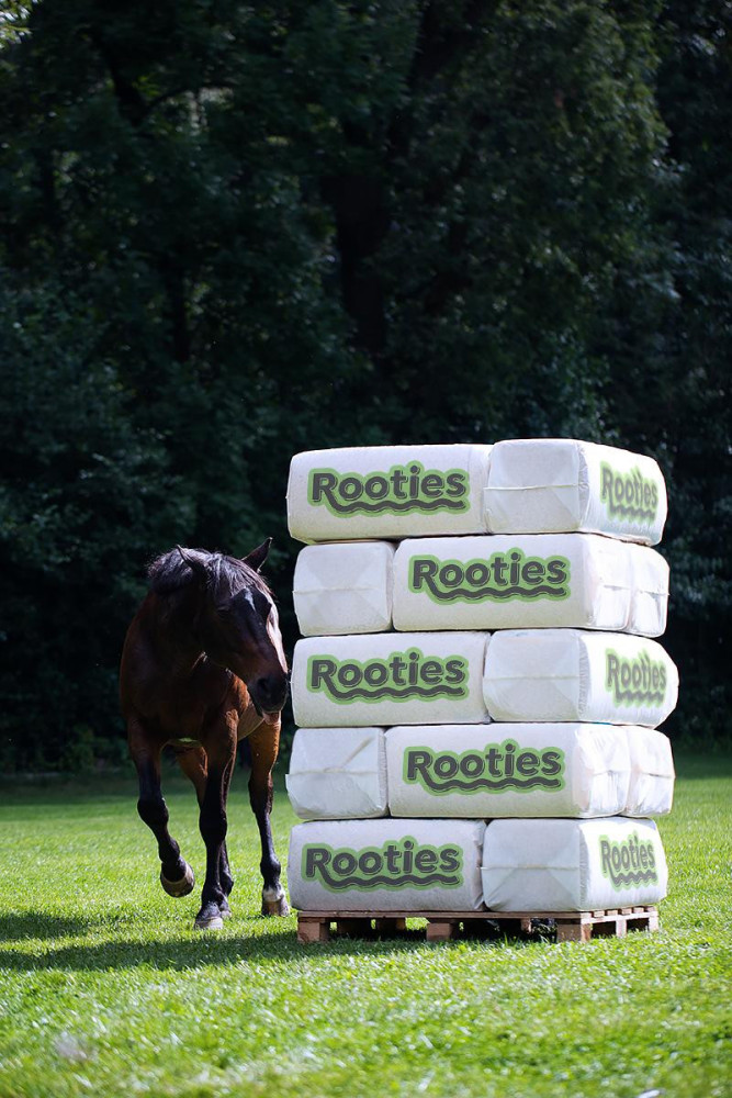 Trociny 20kg Rooties