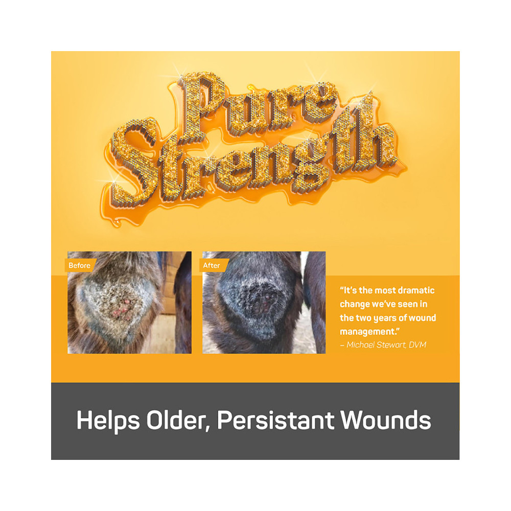 Spray Na Rany Silver Honey Absorbine