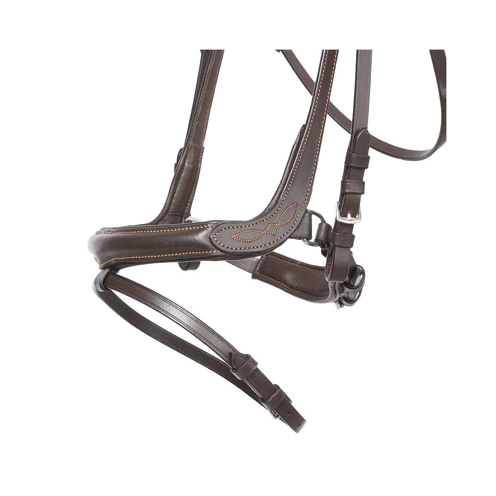 Ogłowie z Nachrapnikiem Angielskim Ivy Brązowe Kavalkade