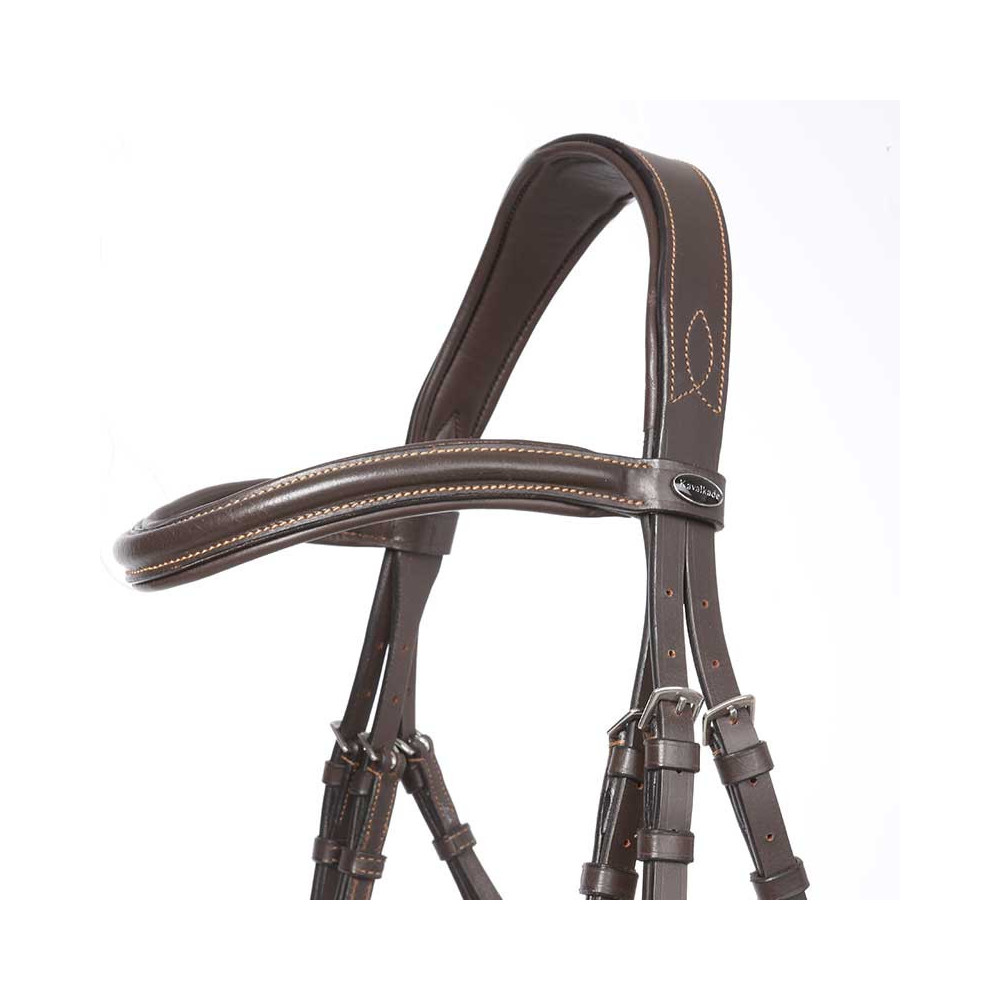 Ogłowie z Nachrapnikiem Angielskim Ivy Brązowe Kavalkade