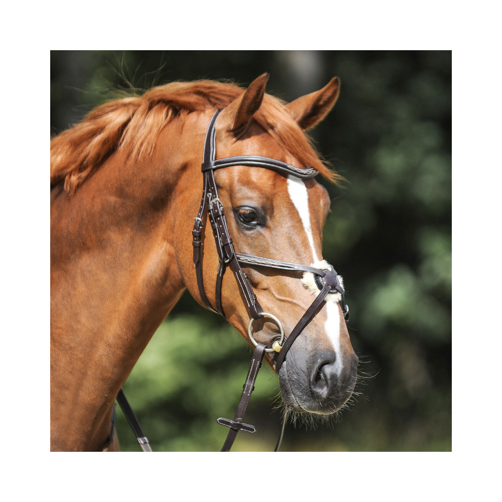 Ogłowie Z Nachrapnikiem Meksykańskim Diandro Czarne Kavalkade