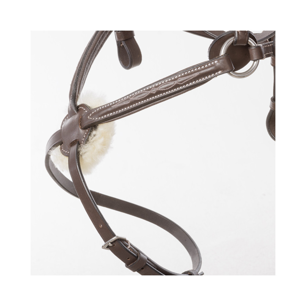 Ogłowie Z Nachrapnikiem Meksykańskim Diandro Brązowe Kavalkade