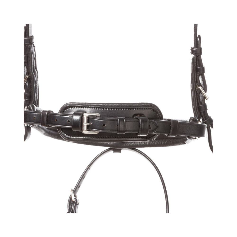 Ogłowie Z Szwedzkim Nachrapnikiem Ayana Czarne Kavalkade