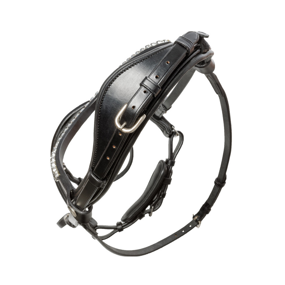 Ogłowie Z Szwedzkim Nachrapnikiem Ayana Czarne Kavalkade