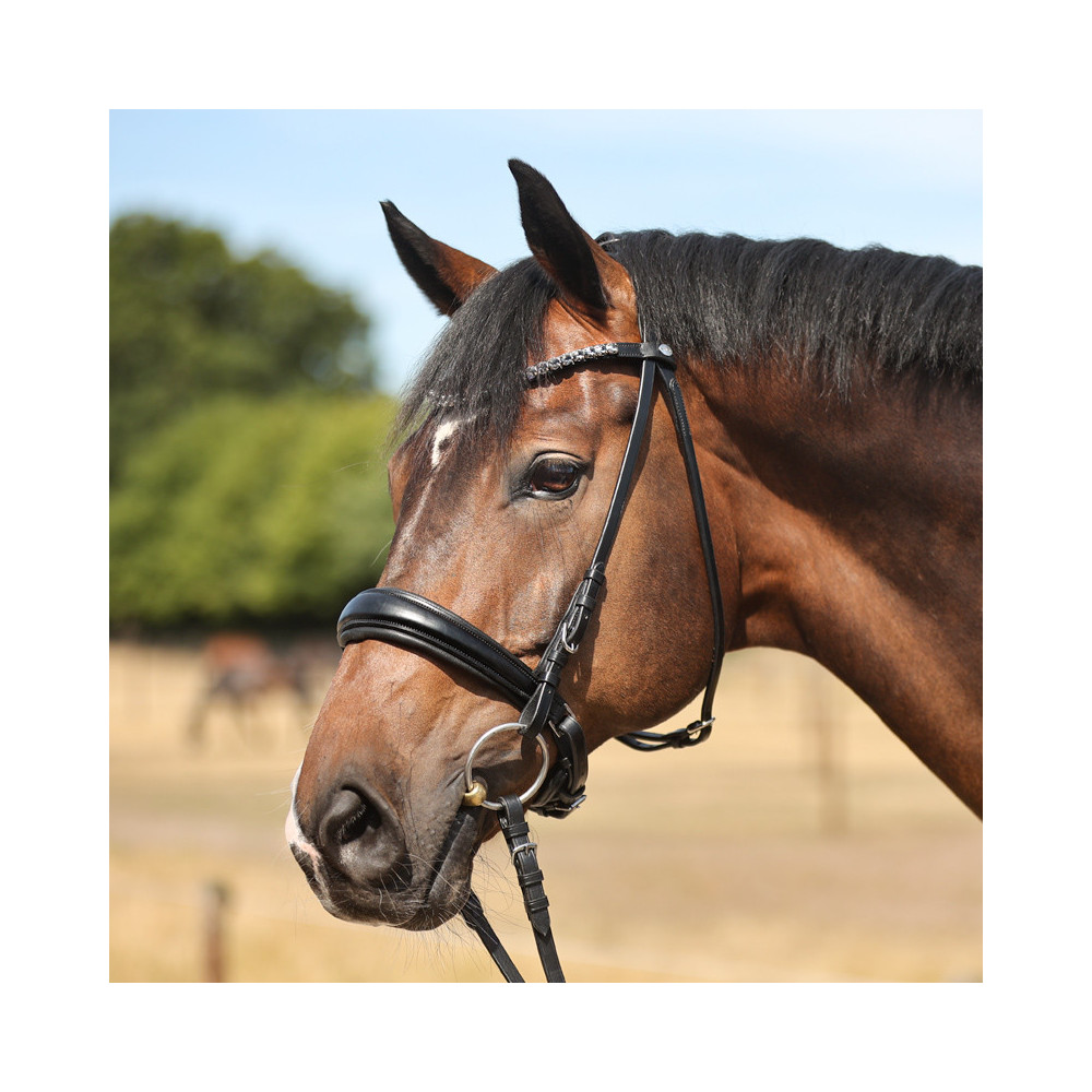 Ogłowie Z Szwedzkim Nachrapnikiem Ayana Czarne Kavalkade